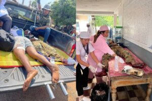 Cluster bomblet from Thai attacks explodes, wounds three in Cambodia