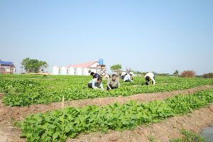 Local Authorities Turn to Farming to Support Displaced Border Communities