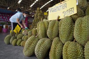 Chanthaburi Durian Market Faces Pressure From Oversupply and Rising Costs