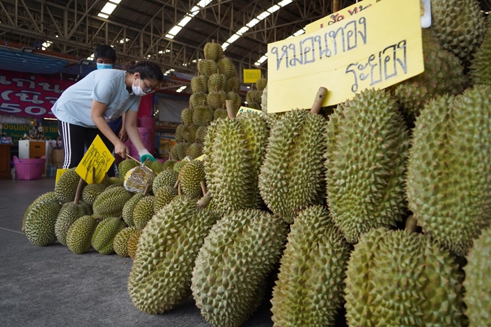 Chanthaburi Durian Market Faces Pressure From Oversupply and Rising Costs