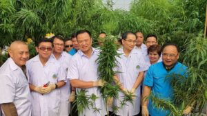 Thailand to Push Cannabis Industry Toward Medical Use Only