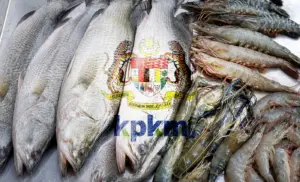 Malaysia Tightens Import Controls on Five Thai Shrimp Species