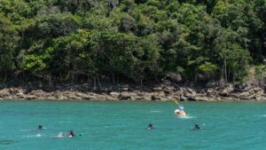 17 Volunteer Divers Clear 470kg of Abandoned Fishing Gear in Koh Rong