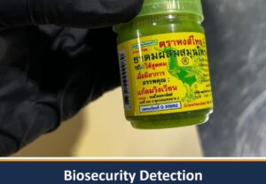 Australia Warns Travellers Over Thai Herbal Inhalers