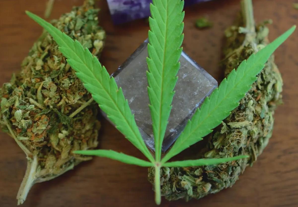 Thai Committee Weighs Stricter Cannabis Rules