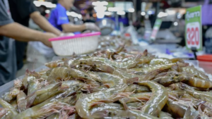 Malaysia Import Ban Hits Thai Shrimp Industry