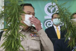 Anutin Warns Thailand’s Cannabis Industry Could Be Shut Down