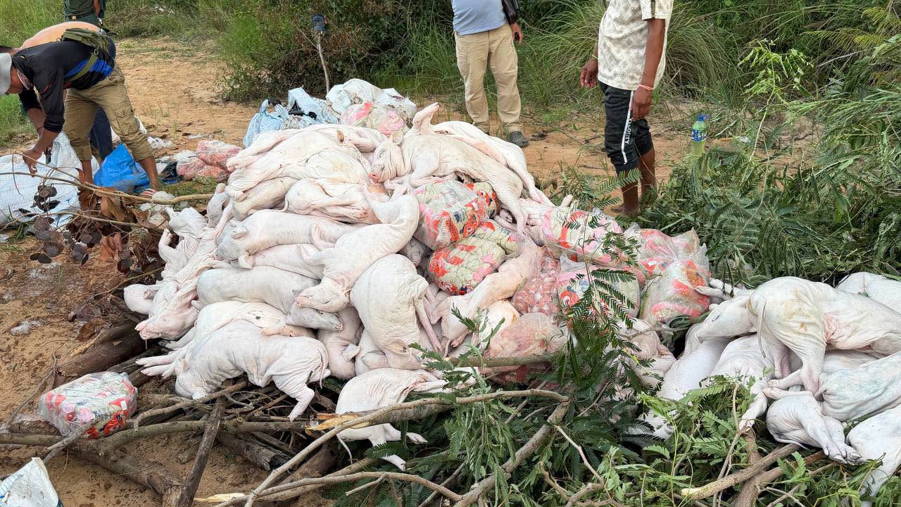 Cambodia Seizes Large Consignment of Suspected Thai Frozen Meat
