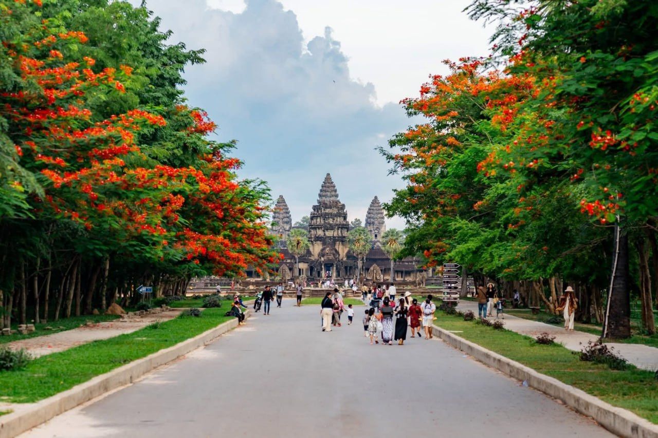 Angkor Records $22.5 Million in Ticket Revenue Amid Tourism Slowdown