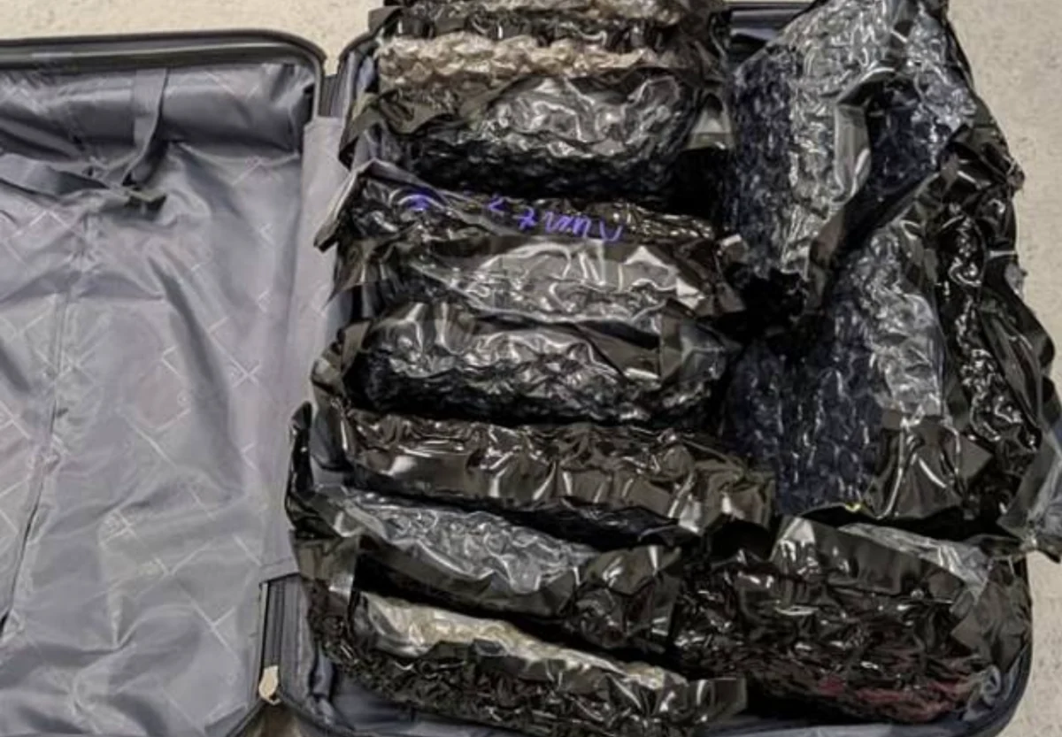 UK Teen Jailed After Bringing £600,000 Cannabis Shipment From Bangkok