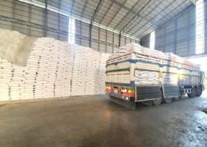 Cambodia Breaks Historic Record With More Than 1 Million Tonnes of Rice Exports