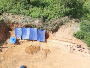 Ancient Wood Fossils in Stung Treng Could Be Up to 2 Million Years Old