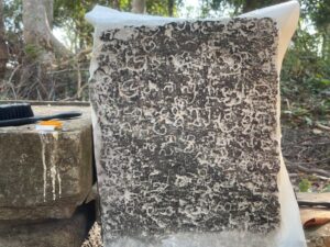 Cambodia Demands Thailand Return Artifacts Removed From Prasat Kna Temple
