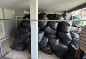 More than 5 Tonnes of Cannabis Seized in Bangkok after Residents’ Complaints