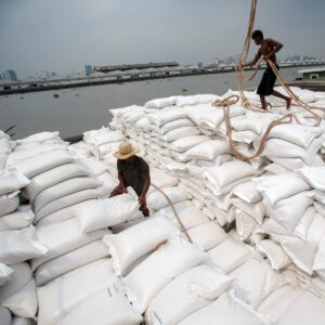 Thailand’s Rice Exports Fall 19% as India and Pakistan Intensify Competition